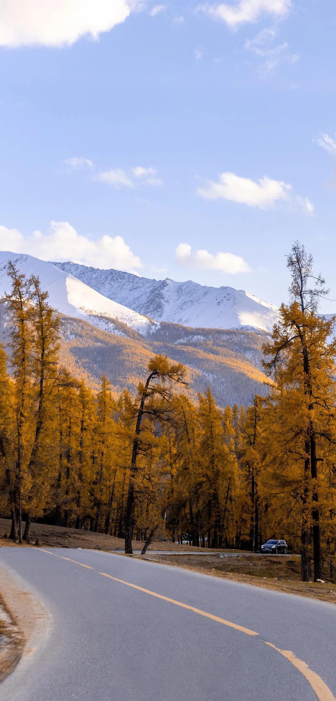 新疆，嘉宾云集，观众热情如火