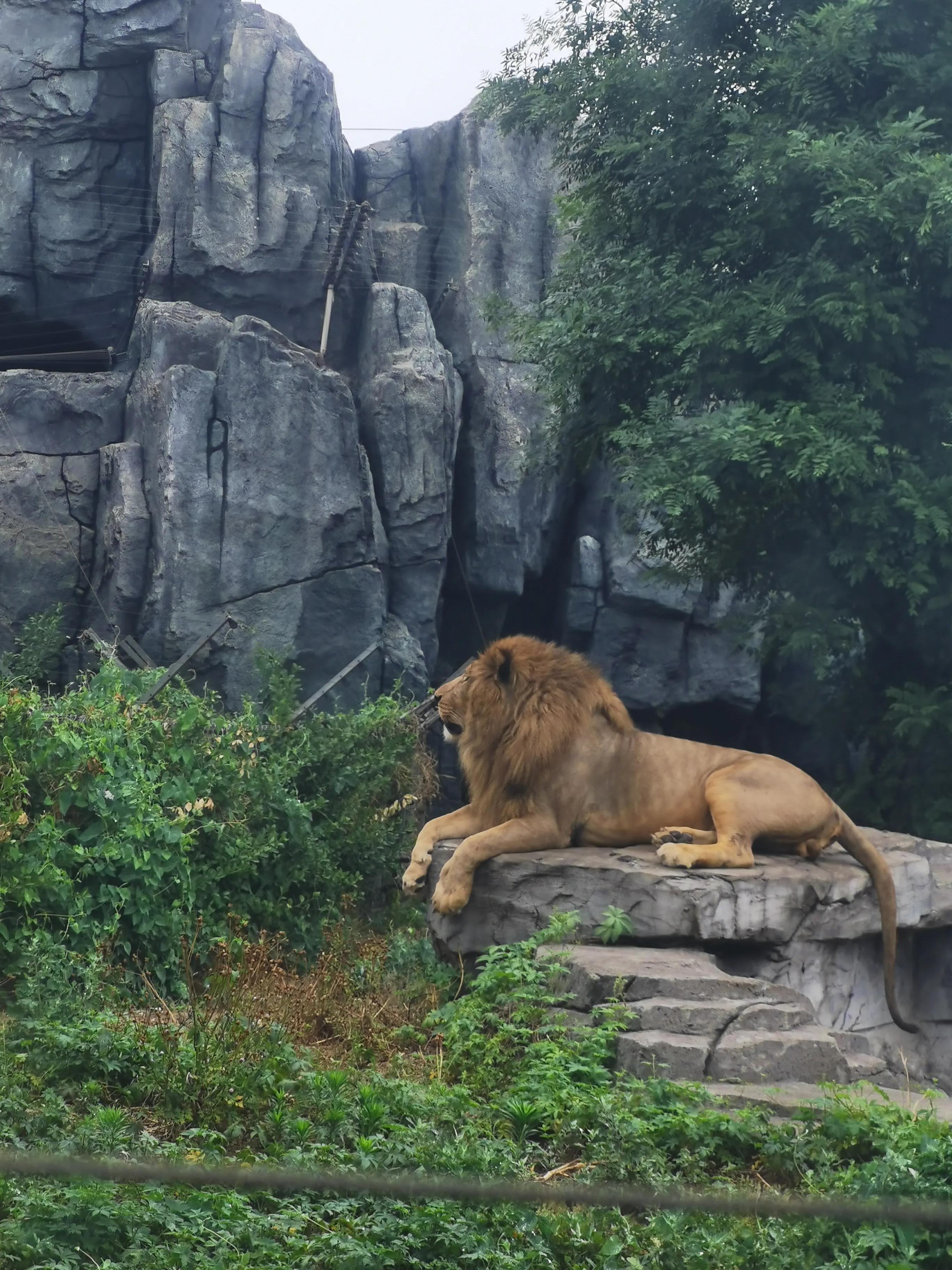 唐山的多元风貌与深度解读