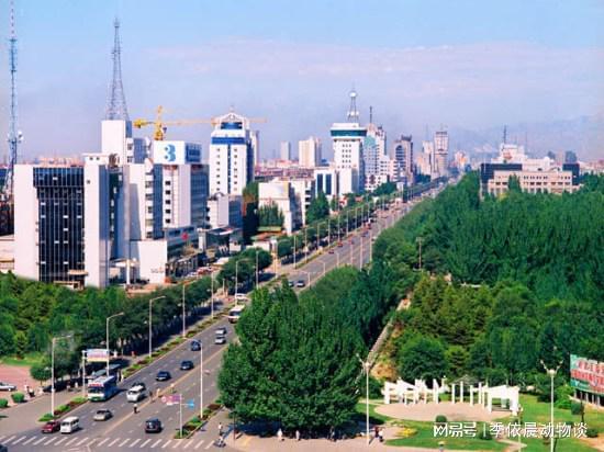 包头,完成任务与学习技能的详细步骤指南